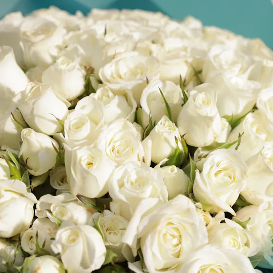 White Baby Rose Bouquet | 25 Flowers