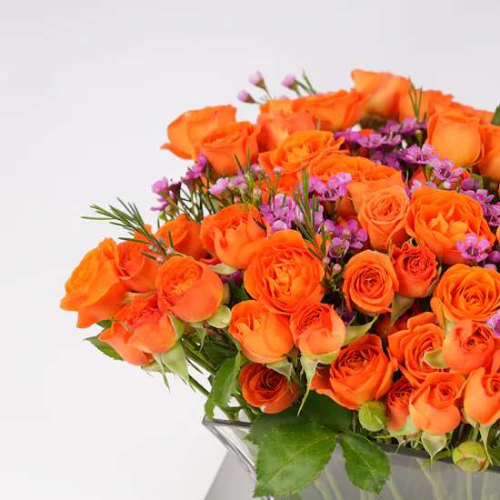 Saudi Artisanal Company Date Bowl Set | Baby Roses