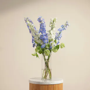 Delphinium Cloud Vase