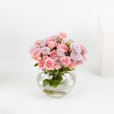 La Rêve | Baby Roses