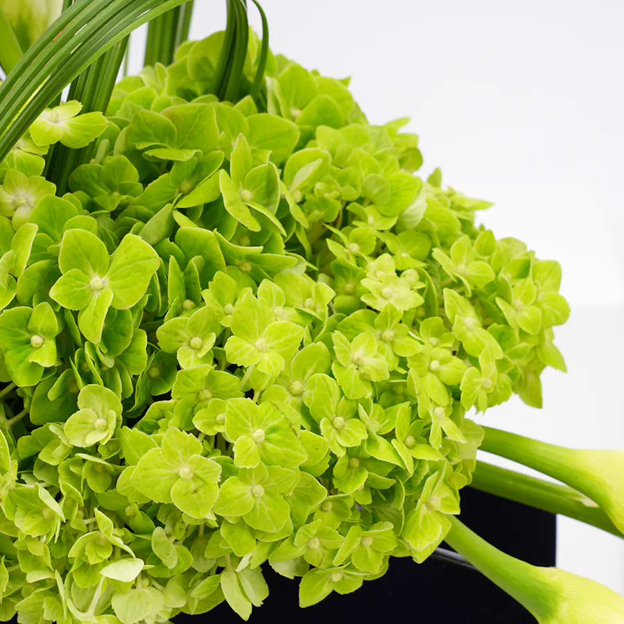 Alhilal Club Green Bouquet  3
