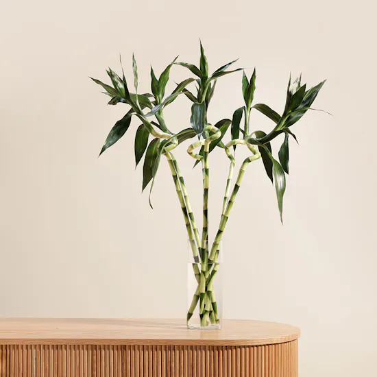 Bamboo Plant Vase