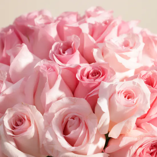 Exquisite Pink Rose Vase