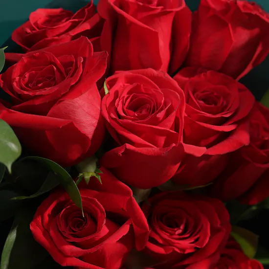 Cherigan Fiesta Habana Unisex Extrait De Parfum | Glowy Red Roses Bouquet