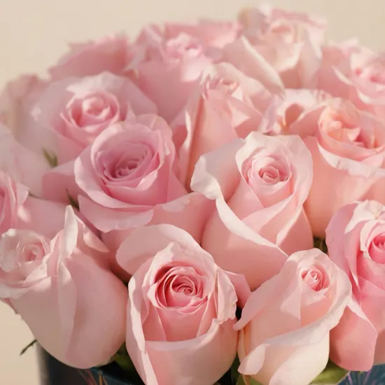 Blush Light Pink Rose Box | 25 Flowers