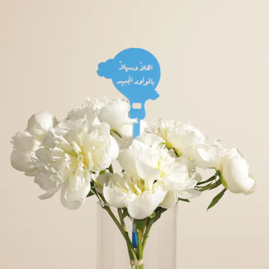 Welcome Little Prince Bundle