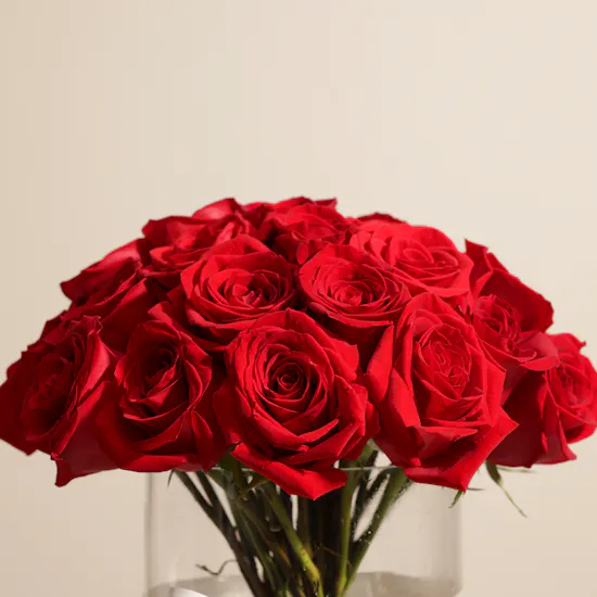 Graceful Red Roses Vase | 35 Roses