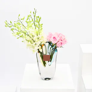 Dream's Vase 