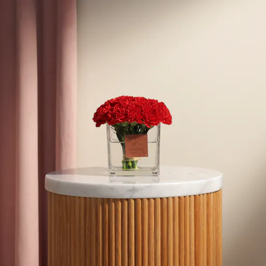 25 Red Carnations | Square Vase