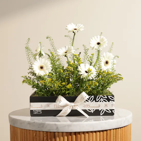 Delightful Pure Gerbera Box