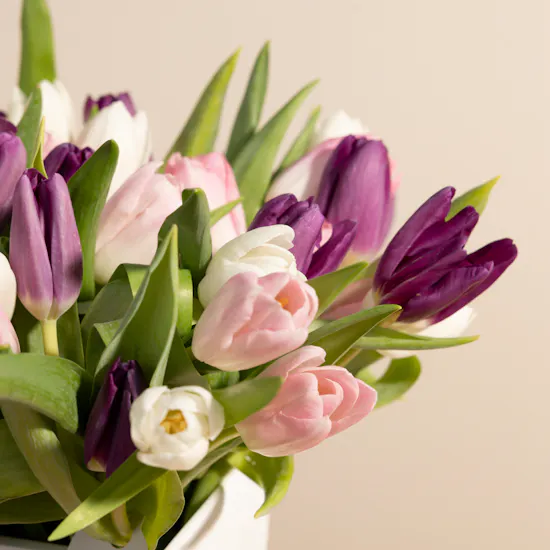 Tulip Magical Vase