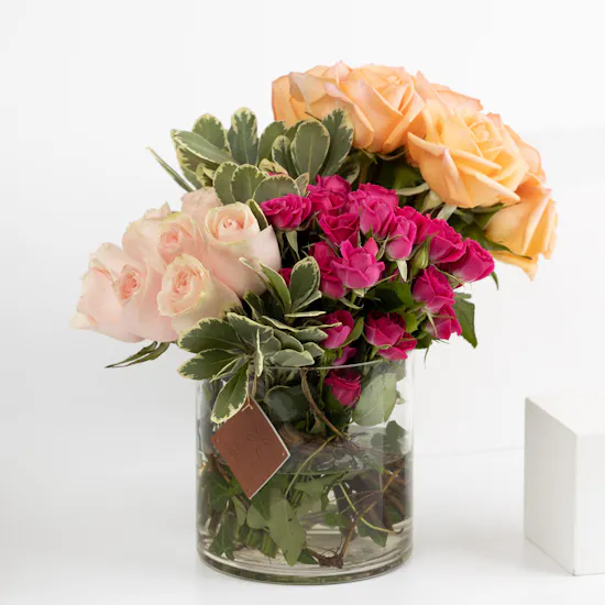 12 Peach Roses | Cylinder