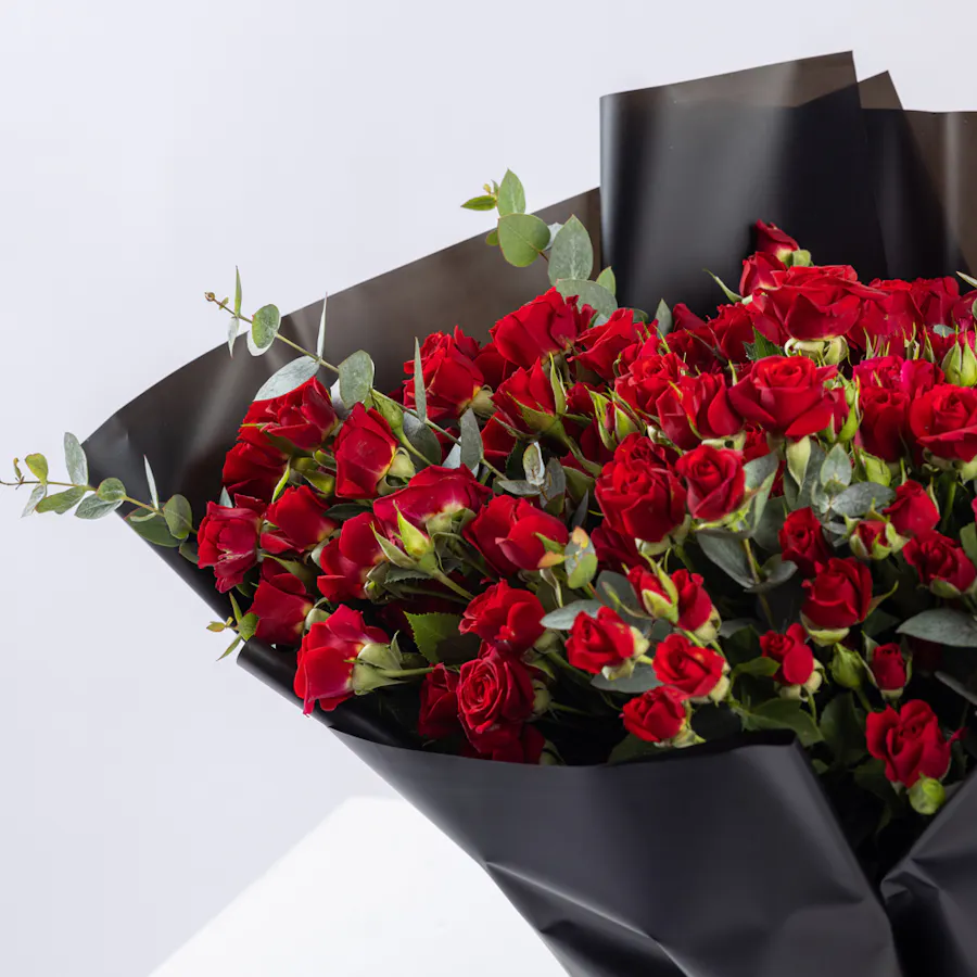 50 Red Baby Roses | Black Wrap 5