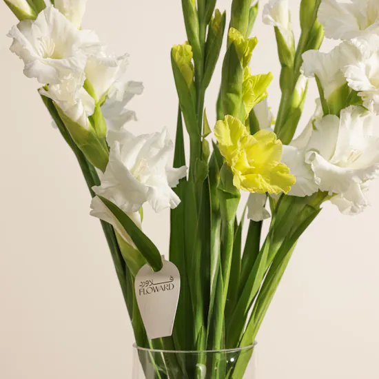 Bright Gladiolus Vase