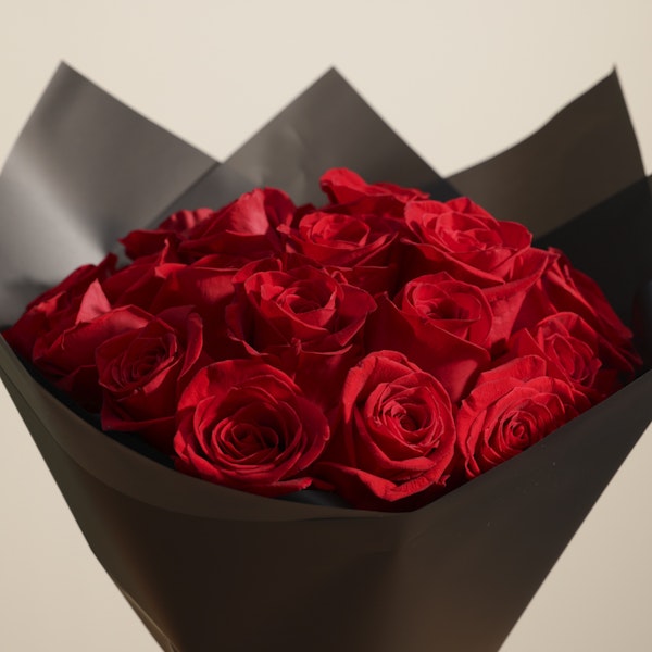 Dazzling Red Rose Bouquet | 25 Flowers