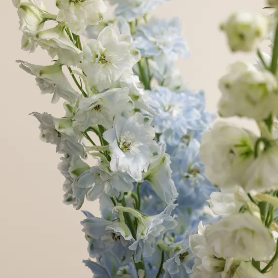 Sculpted Serenity Delphinium Vase