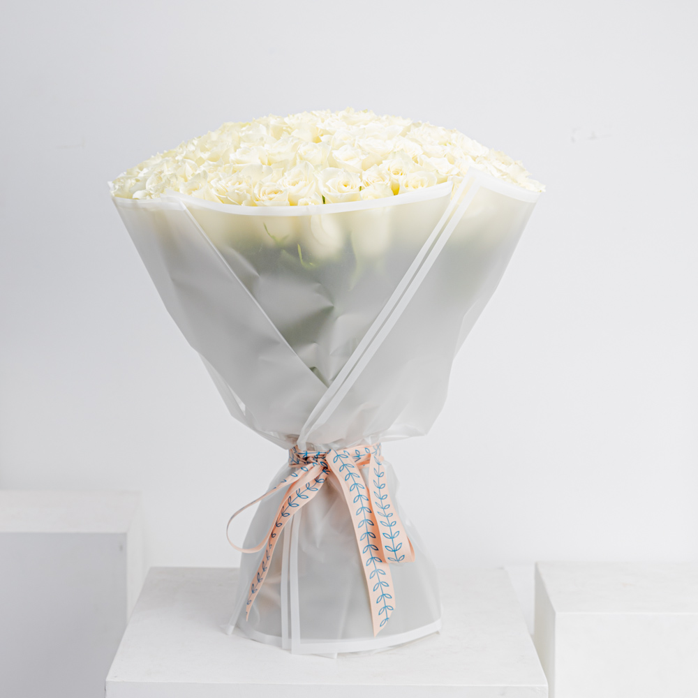 النقاء الرائع | 100 جوري