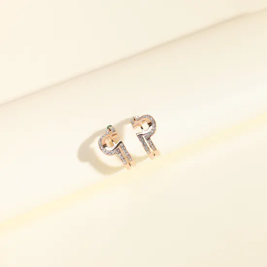 Aigner Fashion Women's Earrings