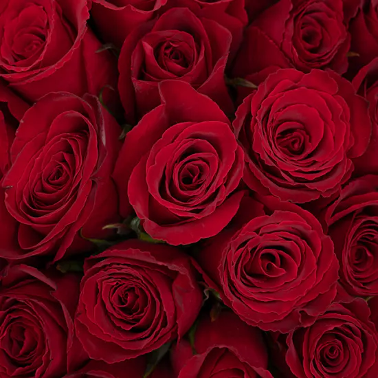 Rosy Radiance | Flowers Bouquet