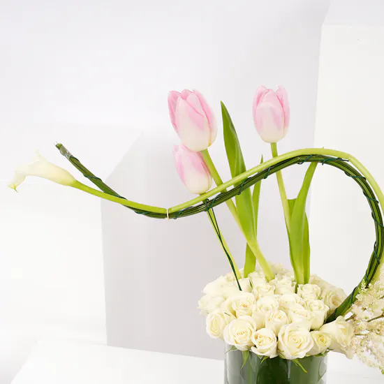 Hanoverian Mix Brand Box | Soft Elegance