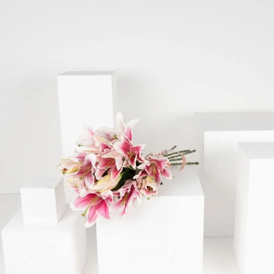 6 Pink Lilies 2