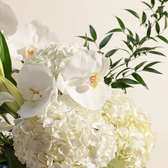White Grace Flower Vase