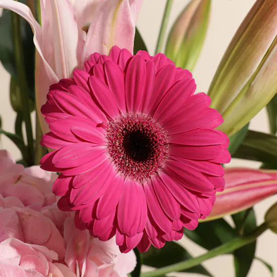 Pinkish Flowers Vase