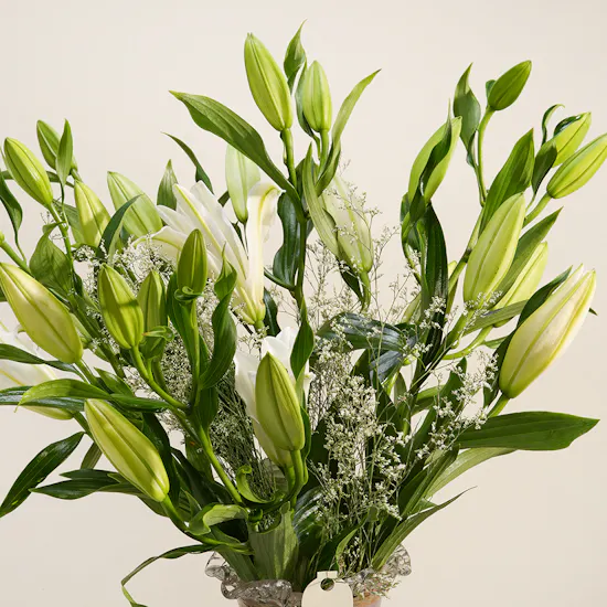 Pearlescent Lily Vase