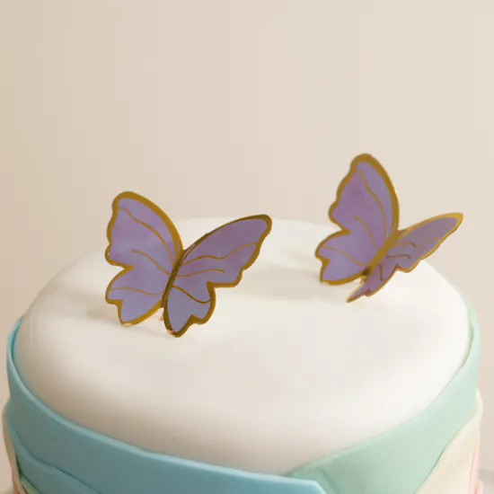Floward Rainbow Butterfly Cake