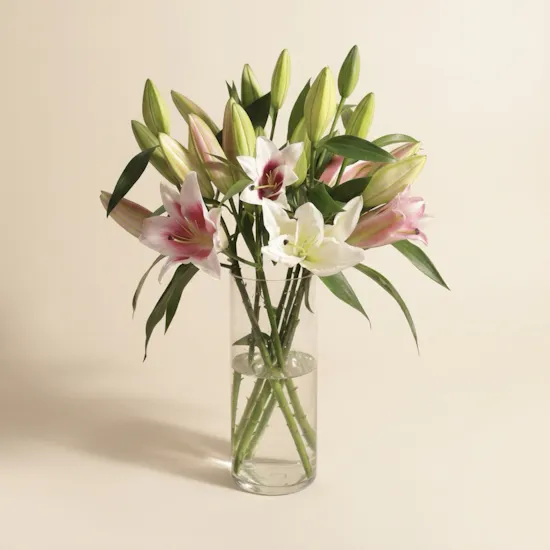 Harmonious Blend Lily Vase | 8 Flowers