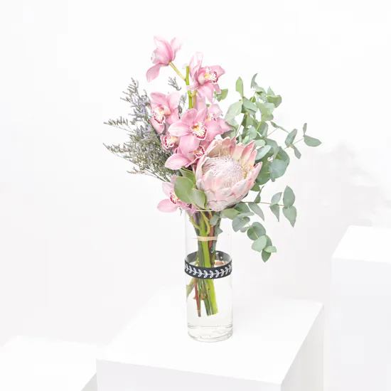 Peace Cymbedium | Glass Vase