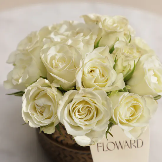 Pure Baby Roses Vase