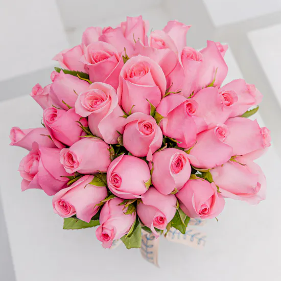 Revival Rose | Cylinder Glass Vase