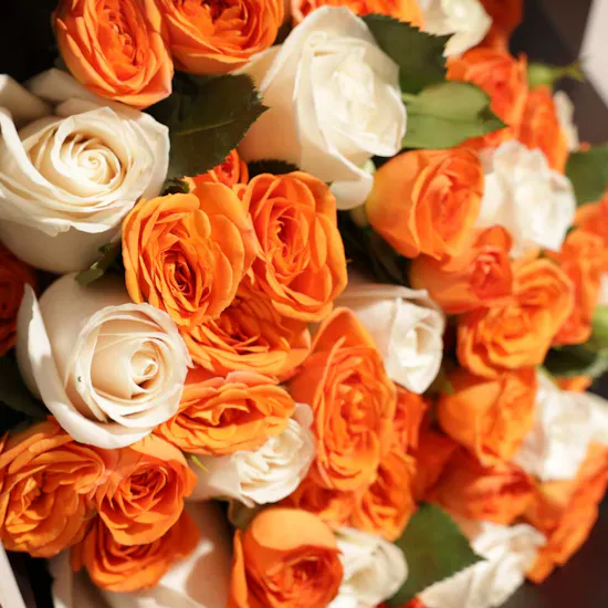 Ibraheem Al Qurashi Crystal Mabkhara | Sunshine Bouquet