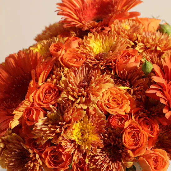 Aani & Dani Trifle Pecan Nut Caramel Cake | A Moment in Color Flowers