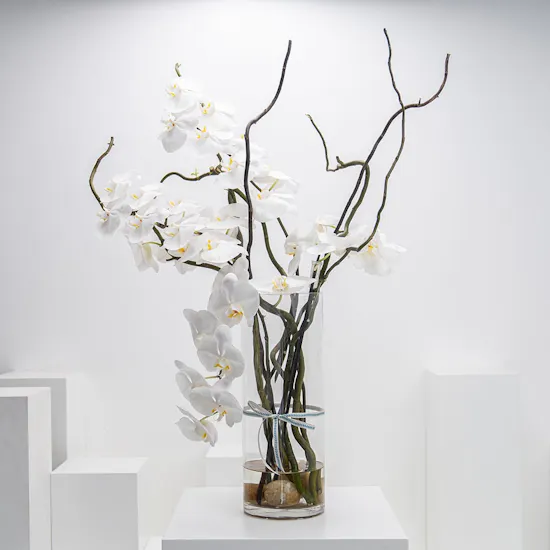 Elegant Orchid | Glass Vase