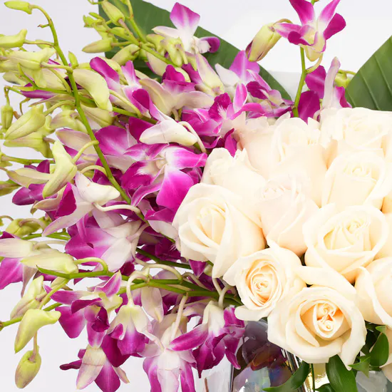 Bostani Signature Big Black Box | White Roses