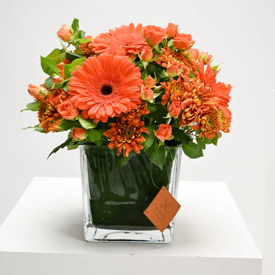 Sunshine of Gerbera  4