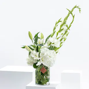 Gladiolus Purity | Cylinder Vase