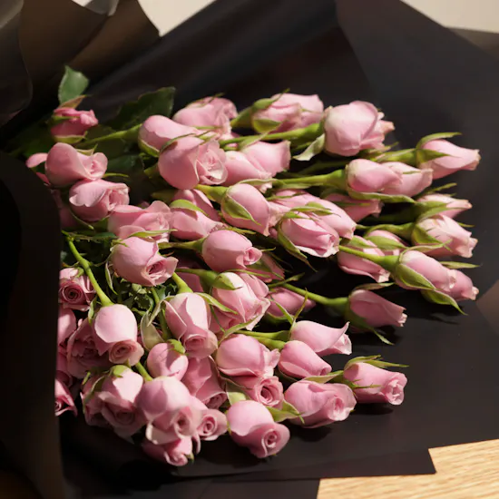 Purple Heart | 18 Baby Roses