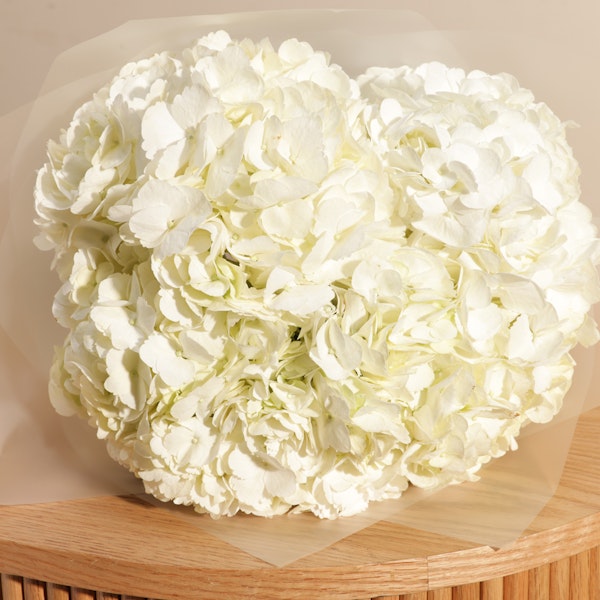 White Hydrangea Garden Bouquet