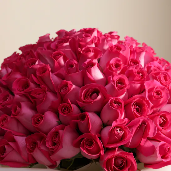 Fuchsia Bliss Bouquet | 150 Roses