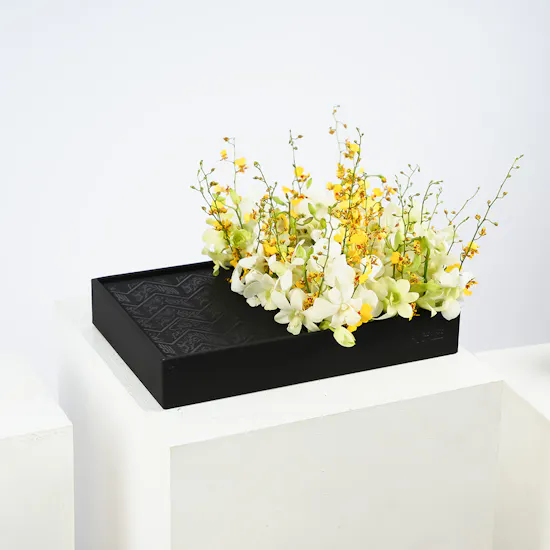 Qura'an Black Box | White Orchids