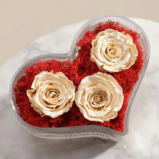 Pure Devotion Preserved Satin Cream Rose Vase