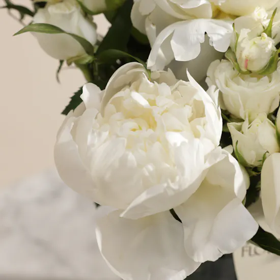 Peony in Quiet Bloom Vase