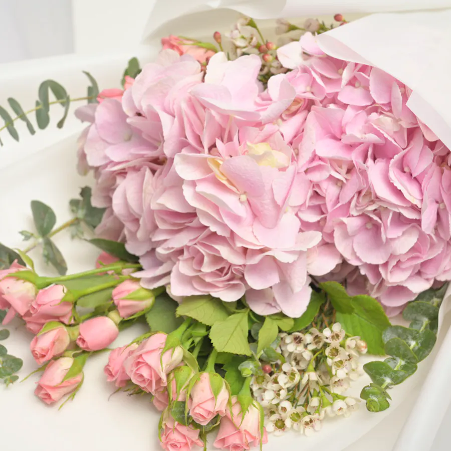 Sweet Candy | White Wrap 4