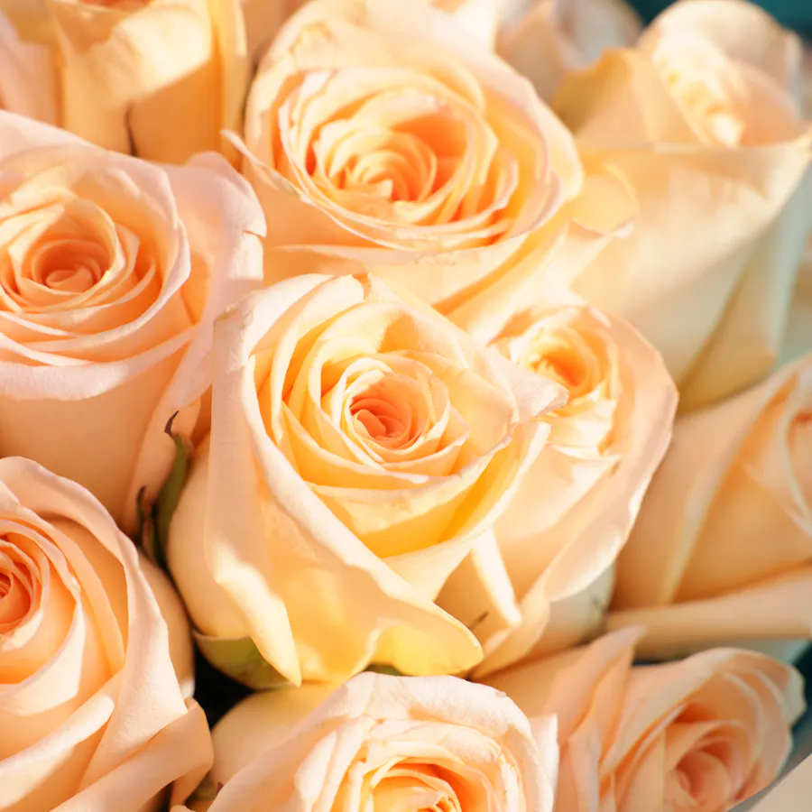 Peach Roses Bouquet | 35 Flowers 4