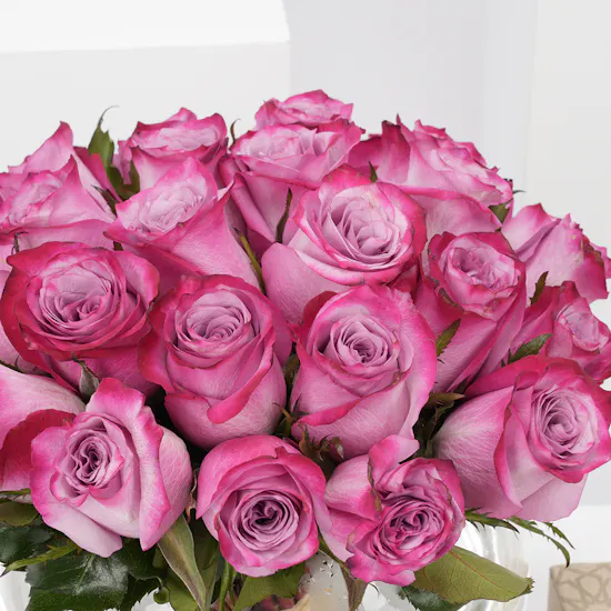 Qur'an & Purple Roses