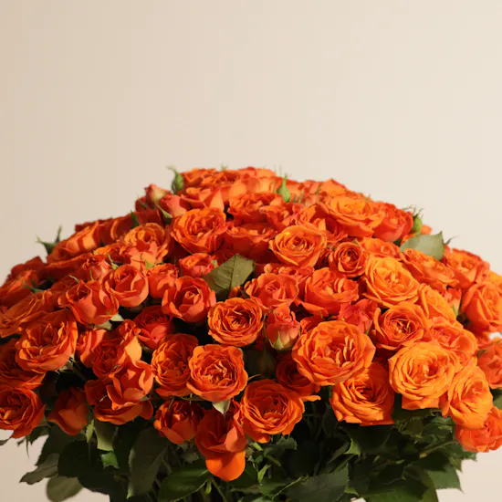 Orange Baby Roses Vase | 50 Flowers