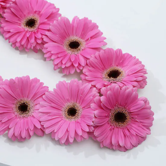 The Necklace | Pink Gerbera